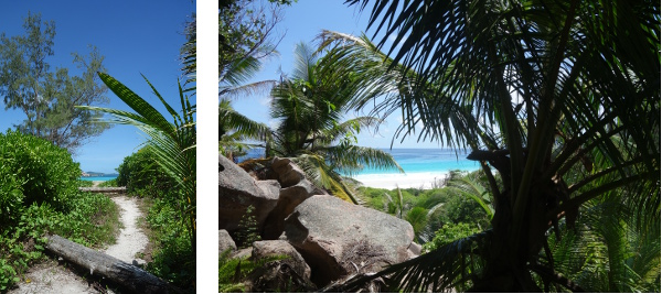 anse-cocos