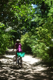 fahrrad
