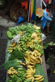 fruechtestand
