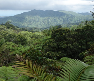 puerto-rico