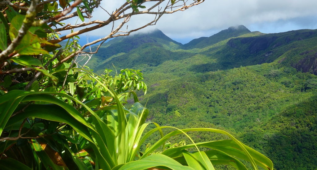 Seychellen Reiseführer