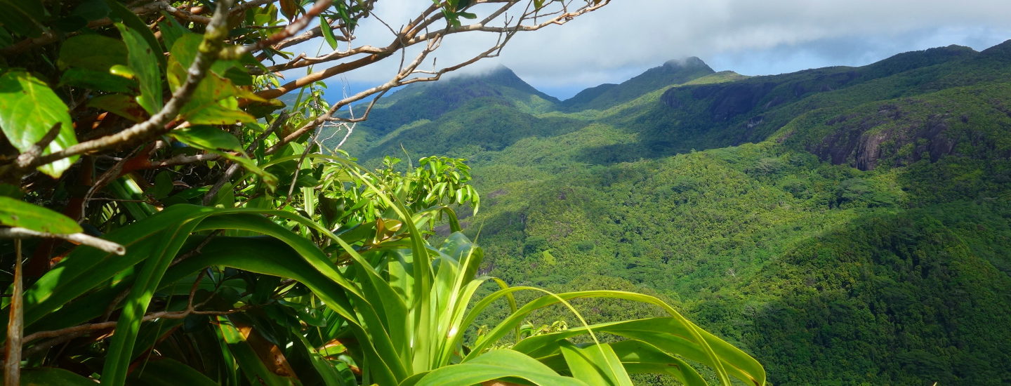 Seychellen Reiseführer