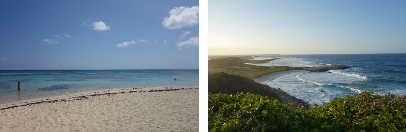 strand-guadeloupe