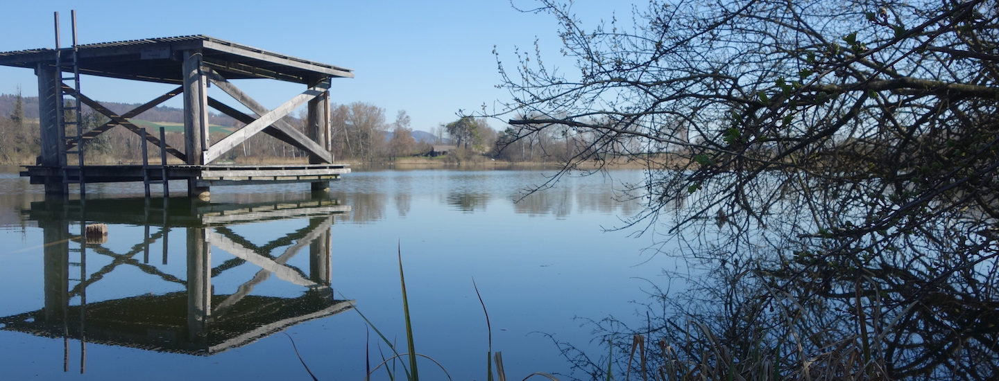 Sprungturm im See