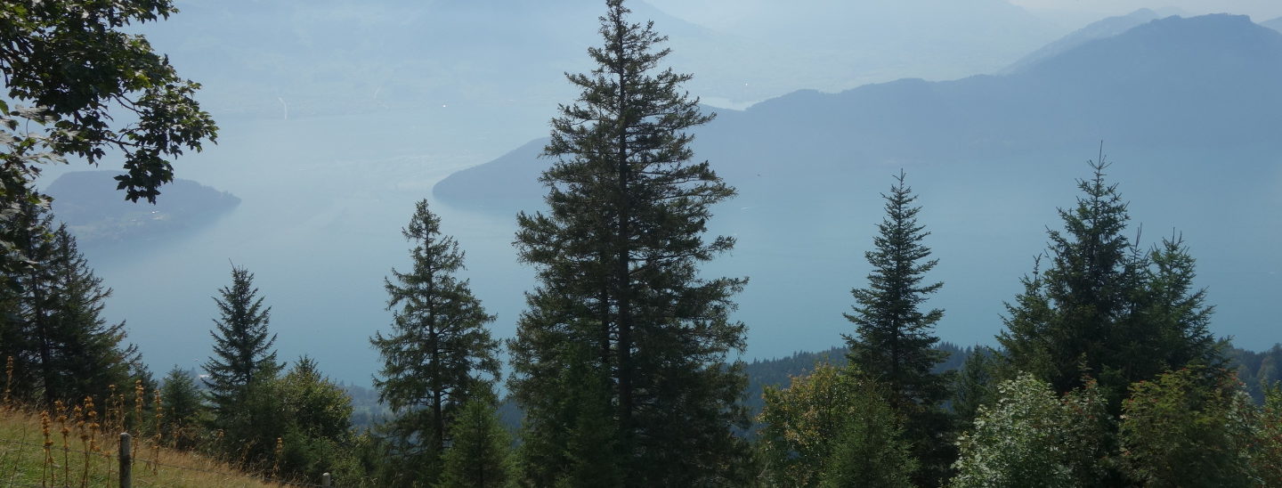 Wanderung Rigi Panoramaweg